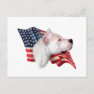 Carte Postale Dogo Argentino