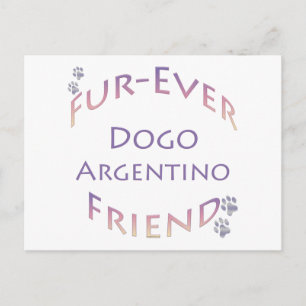 Carte Postale Dogo Argentino Furever