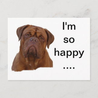 Carte Postale Dogue de Bourdeaux