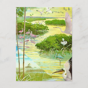 Carte postale d'oiseau des Everglades