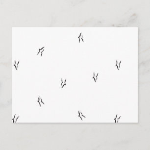 Carte postale d'oiseau minimaliste motif noir et b