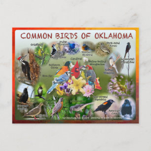 carte postale d'Oklahoma 19r