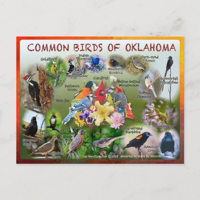 carte postale d'Oklahoma 19r (Devant)