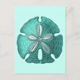 Carte Postale Dollar Aqua Sand