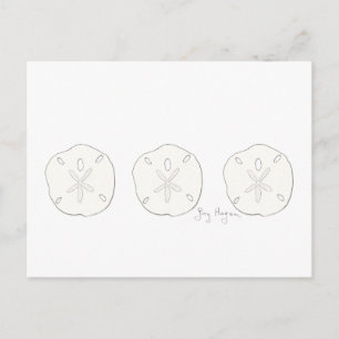 Carte postale Dollars de sable