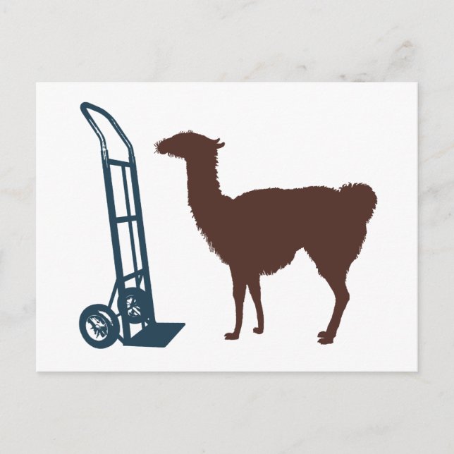 Carte Postale Dolly llama (Devant)