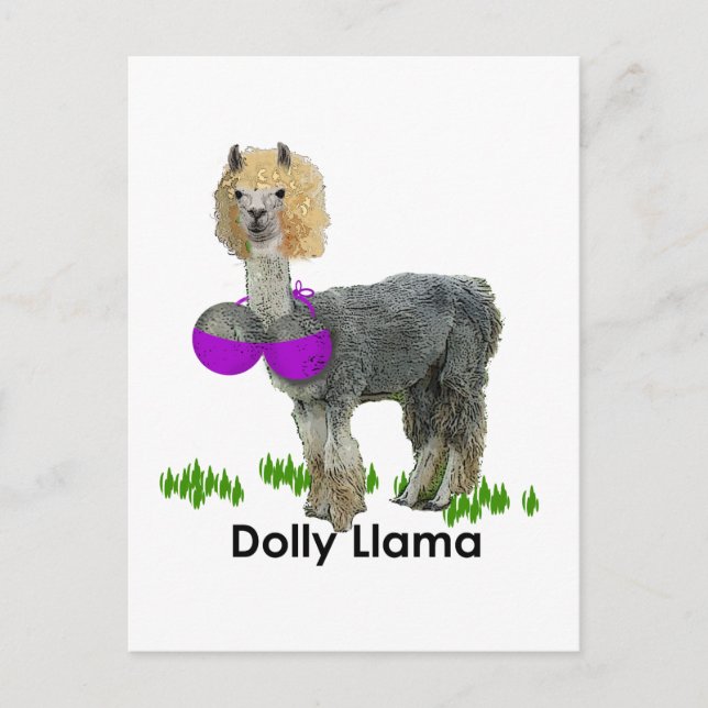 Carte Postale Dolly Llama (Devant)