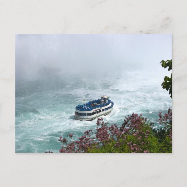 Carte Postale Domestique du bateau de brume aux chutes du (Devant)