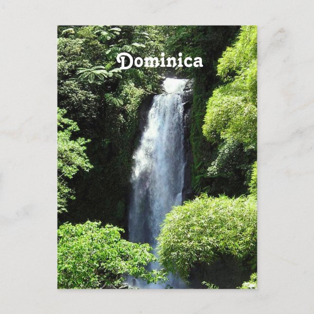 Carte Postale Dominique (Devant)