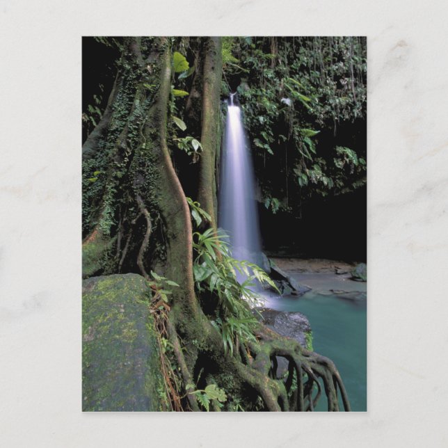 Carte Postale Dominique, Piscine d'émeraude, Cascade. (Devant)