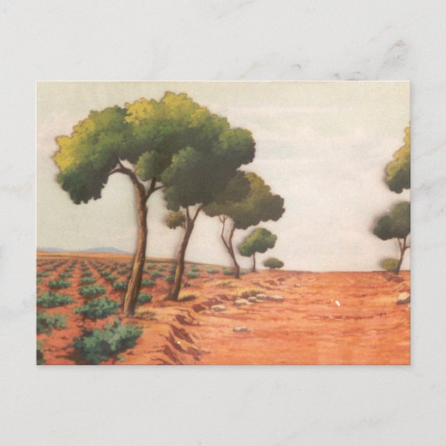 Carte Postale DON QUIXOTE - Arrière - plan de dessin animé (1979 (Devant)