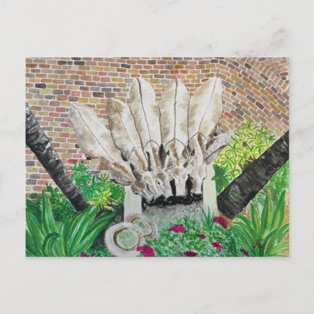 Carte postale Donkey (Devant)