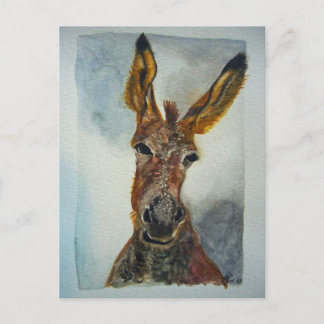 Carte postale Donkey