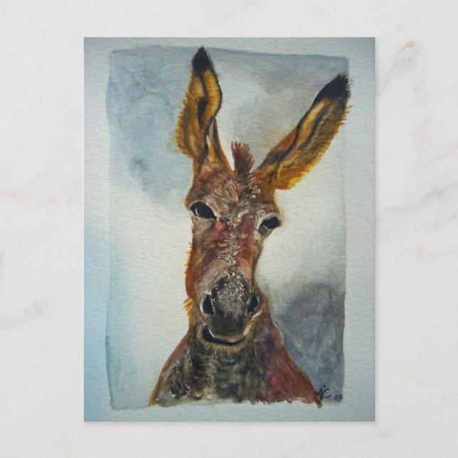 Carte postale Donkey (Devant)