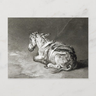 Carte Postale Donkey au repos