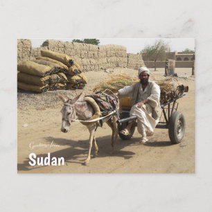 Carte Postale Donkey Cart au Soudan