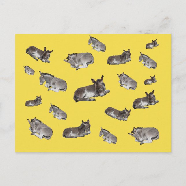 Carte Postale Donkey Mania (Devant)