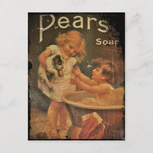 Carte Postale Donner à chiot un bain de poires savon