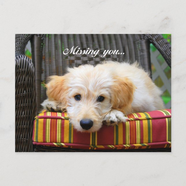 Carte postale Doodle Doré (Devant)