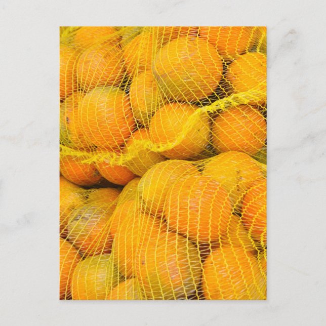 Carte postale d'oranges en filets (Devant)
