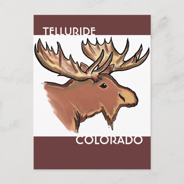 Carte postale d'orignal brun du Colorado (Devant)