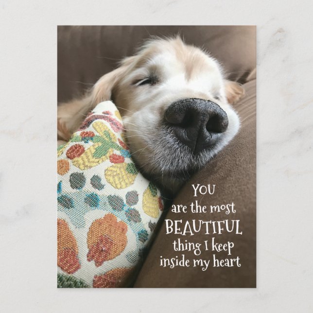 Carte Postale Dormant Golden Retriever belle chose amour (Devant)