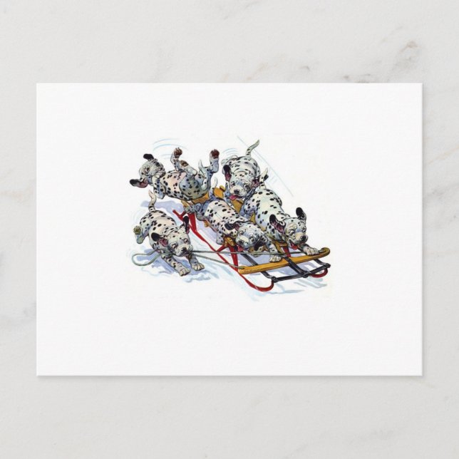 Carte Postale Dormir les petits dalmatiens (Devant)