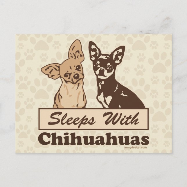 Carte Postale Dors Avec Chihuahuas (Devant)