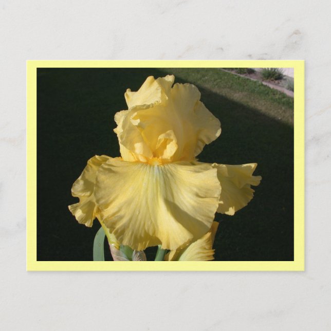 Carte Postale Double agent (Devant)