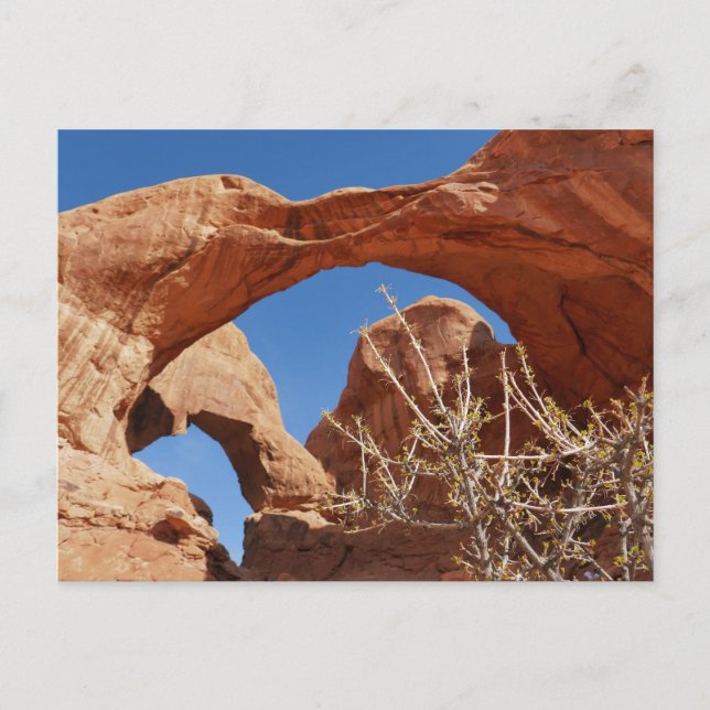 Carte Postale Double arc au Parc national des Arches (Devant)