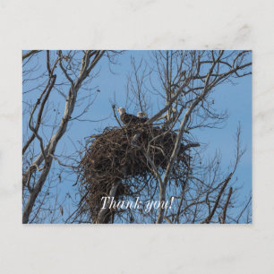 Carte Postale Double Eagle Trouble