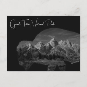 Carte Postale Double exposition du bison de Grand Teton