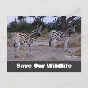 Carte Postale Double Take, Save Our Wildlife Postcard