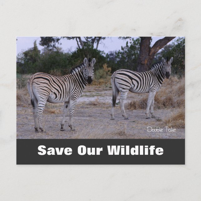 Carte Postale Double Take, Save Our Wildlife Postcard (Devant)