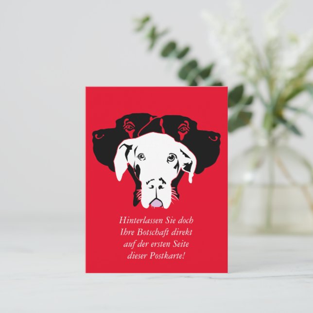 Carte Postale Douce Dogue en blanc (Debout devant)