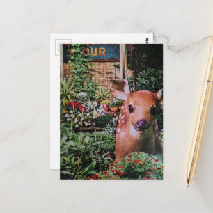 Carte Postale Douce Faon dans le Collage de Jardin