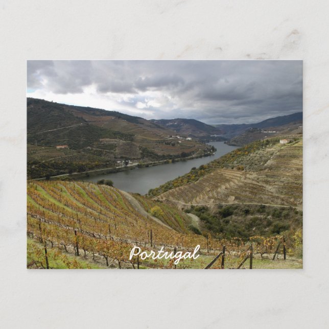 Carte postale Douro (Devant)
