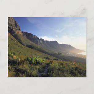 Carte Postale Douze Apôtres, Cap, Cap Ouest