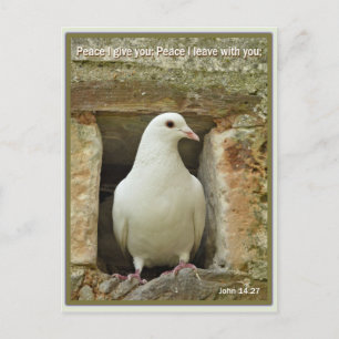 Carte Postale Dove