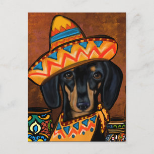 CARTE POSTALE DOXIE