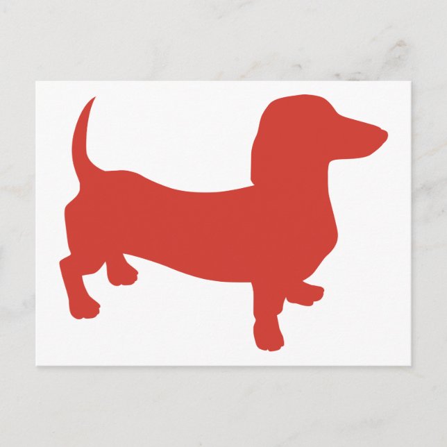 Carte Postale Doxie - Dacshund (Devant)