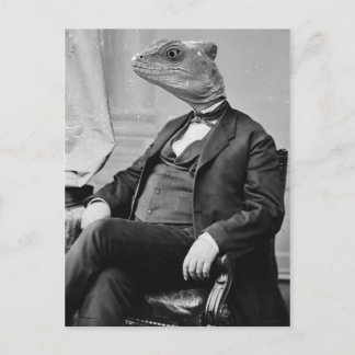 Carte Postale Dr Lizard