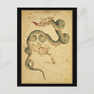 Carte Postale Draco et Ursa Minor