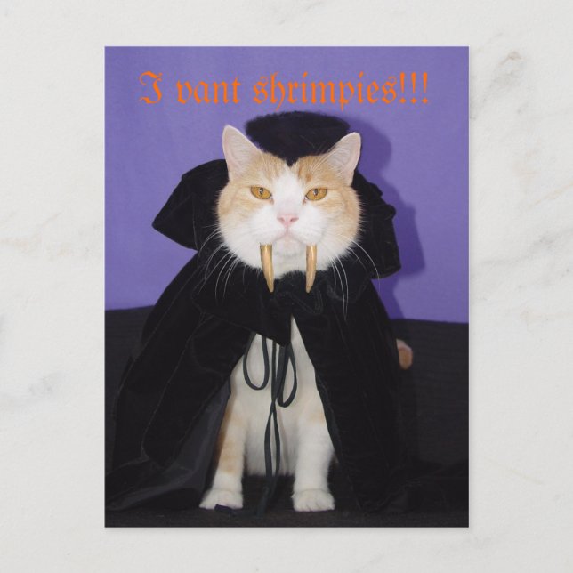 Carte Postale Dracula Bubba (Devant)