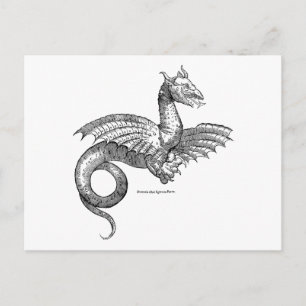 Carte postale Dragon ailé ou Wyvern