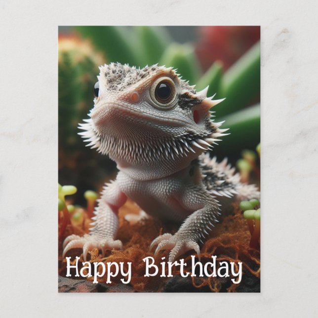 Carte Postale Dragon barbu dans le jardin de mousse Joyeux Anniv (Devant)