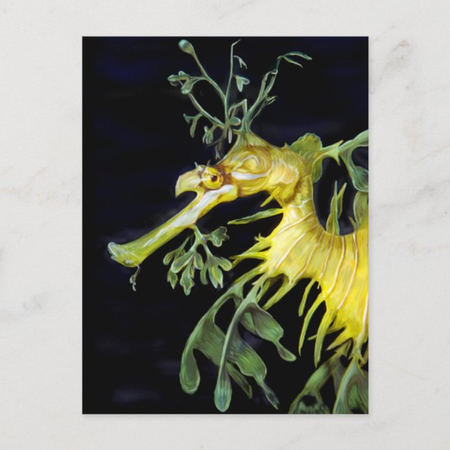 Carte Postale Dragon de mer verdoyant (Devant)