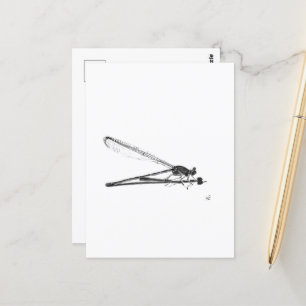 Carte Postale Dragon Fly