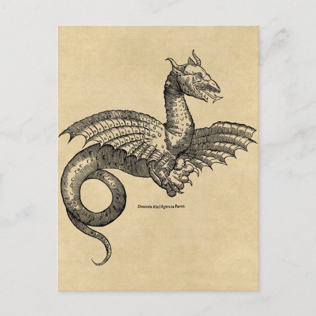 Carte postale Dragon Parchment (Devant)