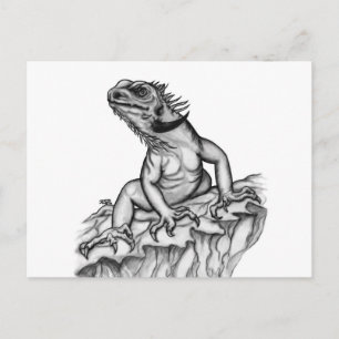 Carte Postale Dragon sur le rocher